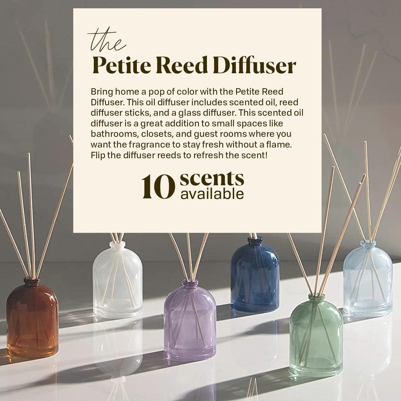 Paddywax Candles Petite Collection, Reed Diffuser for Home Use, Navy - Fresh Air - Image 4